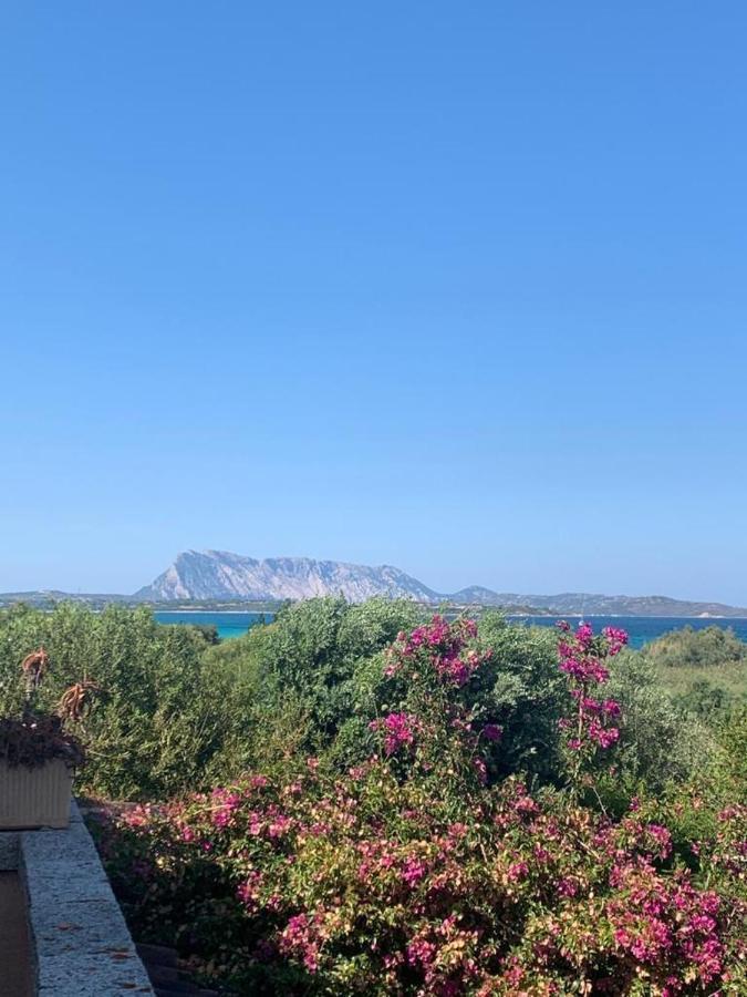 La Cinta San Teodoro (Sardinia) Exterior photo